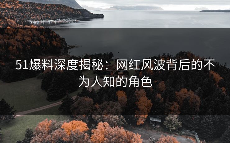 51爆料深度揭秘:网红风波背后的不为人知的角色