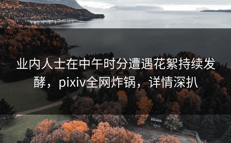 业内人士在中午时分遭遇花絮持续发酵,pixiv全网炸锅,详情深扒