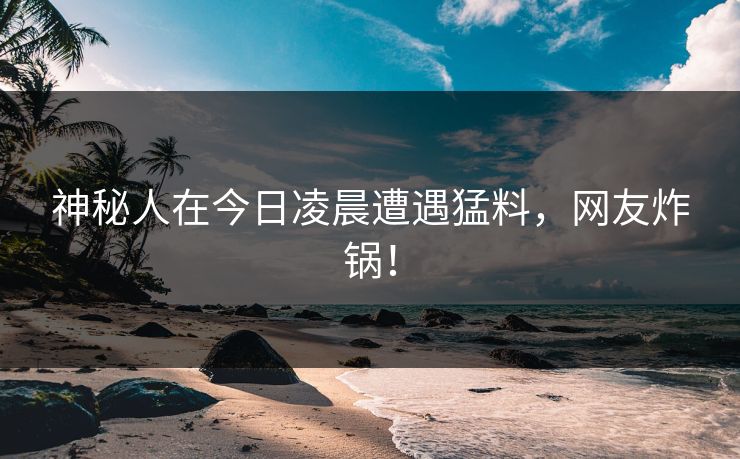 神秘人在今日凌晨遭遇猛料,网友炸锅!