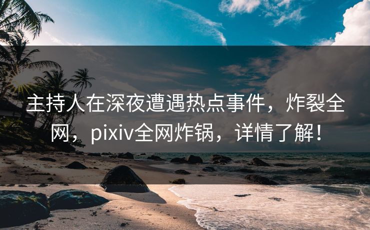 主持人在深夜遭遇热点事件,炸裂全网,pixiv全网炸锅,详情了解!