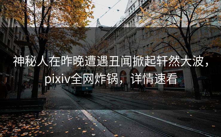 神秘人在昨晚遭遇丑闻掀起轩然大波,pixiv全网炸锅,详情速看