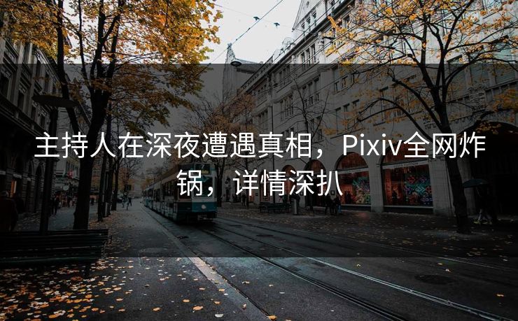 主持人在深夜遭遇真相,Pixiv全网炸锅,详情深扒