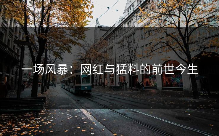 一场风暴:网红与猛料的前世今生 一场风暴:网红与猛料的前世今生
