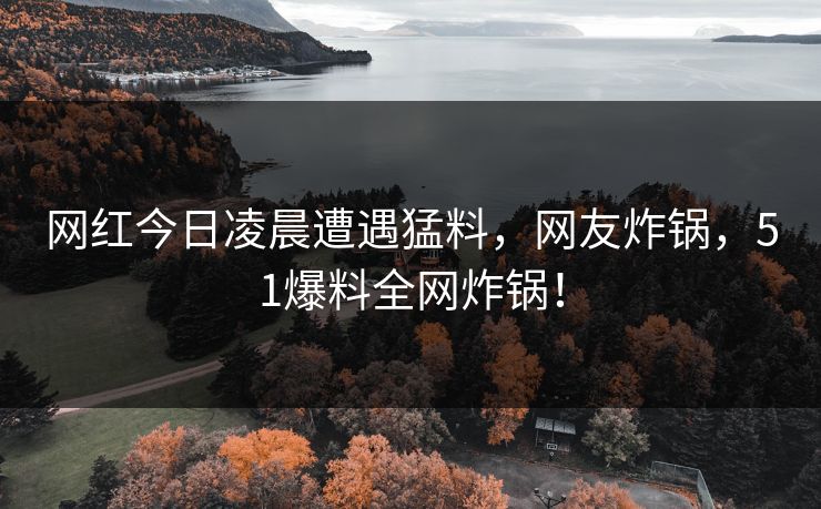 网红今日凌晨遭遇猛料,网友炸锅,51爆料全网炸锅! 网红今日凌晨遭遇猛料,网友炸锅,51爆料全网炸锅!