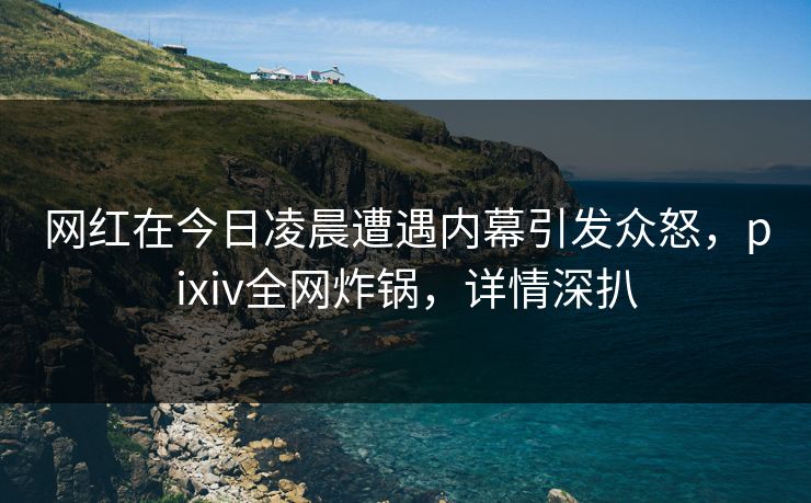 网红在今日凌晨遭遇内幕引发众怒,pixiv全网炸锅,详情深扒 网红在今日凌晨遭遇内幕引发众怒,pixiv全网炸锅,详情深扒