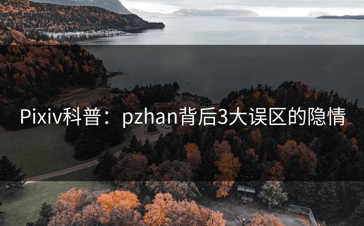 Pixiv科普:pzhan背后3大误区的隐情