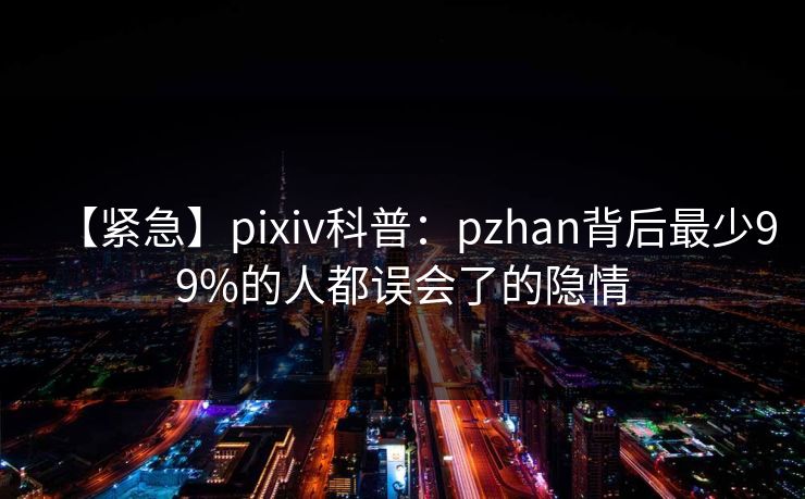 【紧急】pixiv科普:pzhan背后最少99%的人都误会了的隐情