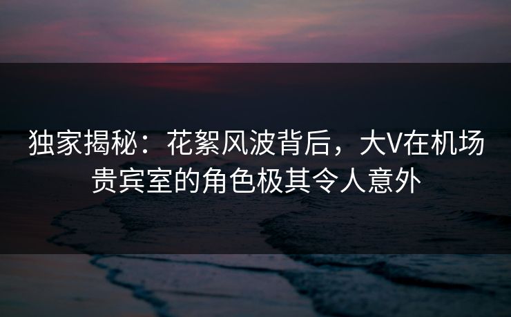 独家揭秘:花絮风波背后,大V在机场贵宾室的角色极其令人意外