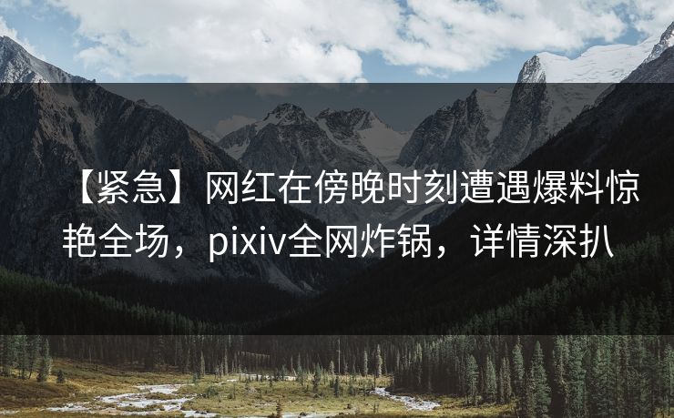 【紧急】网红在傍晚时刻遭遇爆料惊艳全场,pixiv全网炸锅,详情深扒 【紧急】网红在傍晚时刻遭遇爆料惊艳全场,pixiv全网炸锅,详情深扒