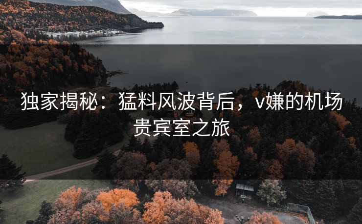 独家揭秘：猛料风波背后，v嫌的机场贵宾室之旅
