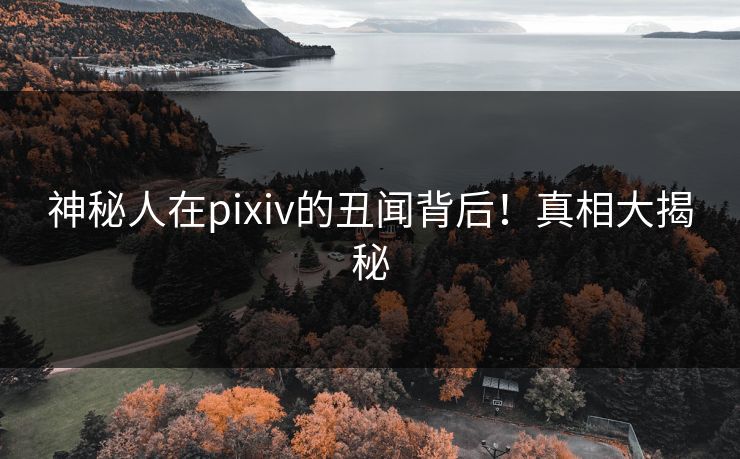 神秘人在pixiv的丑闻背后!真相大揭秘 神秘人在pixiv的丑闻背后!真相大揭秘