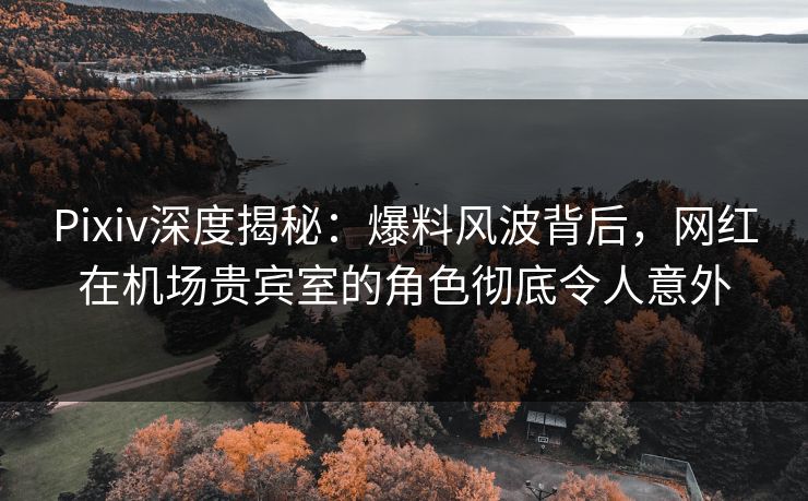 Pixiv深度揭秘:爆料风波背后,网红在机场贵宾室的角色彻底令人意外