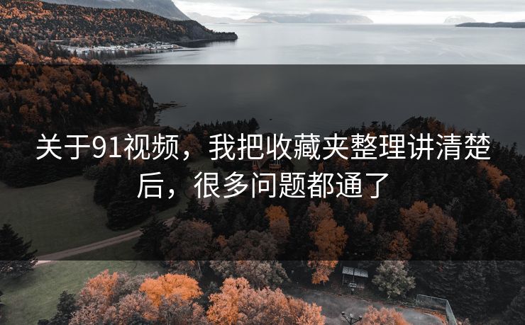 关于91视频，我把收藏夹整理讲清楚后，很多问题都通了