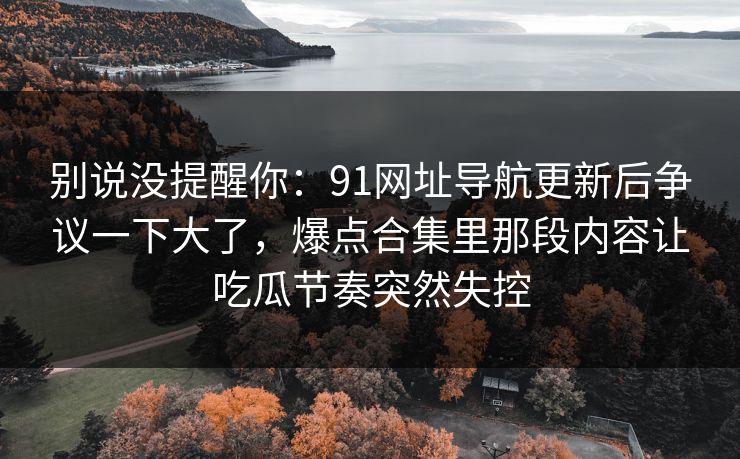 别说没提醒你：91网址导航更新后争议一下大了，爆点合集里那段内容让吃瓜节奏突然失控